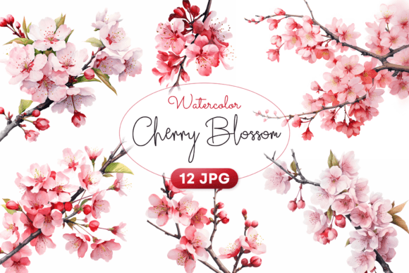 Download Watercolor Cherry Blossom Clipart - Cherry blossom Collection