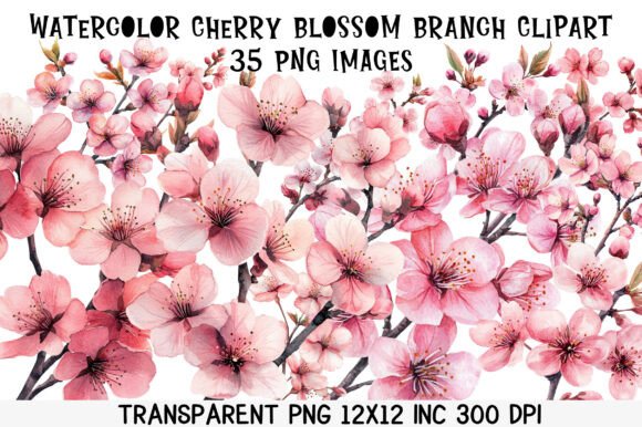Download Watercolor Cherry Blossom Branch Clipart - Cherry blossom Collection