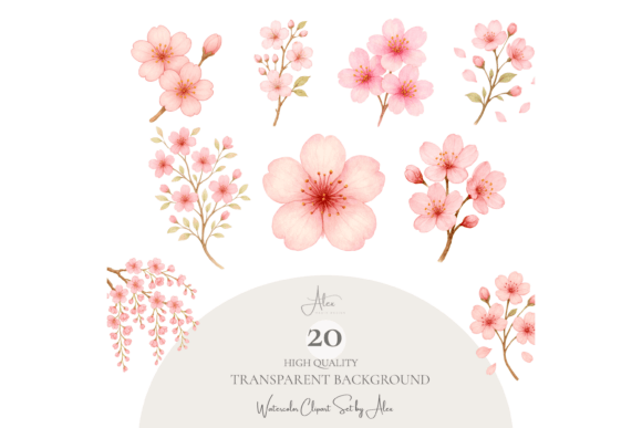 Download Cherry Blossom Clipart Set PNG - Cherry blossom Collection
