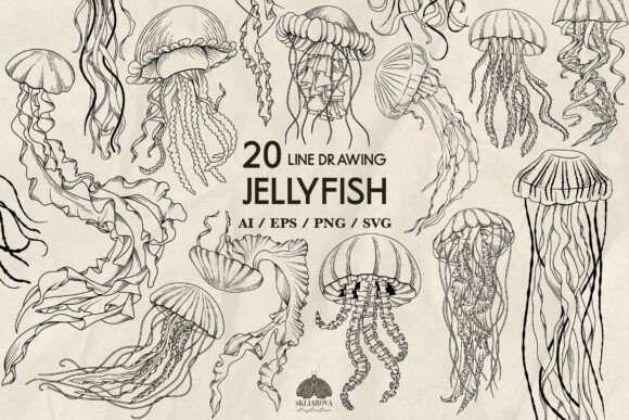 Download Jellyfish Line Drawing Svg - Drawing Collection